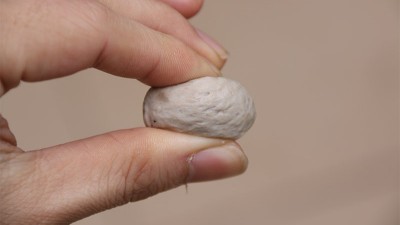 做肉丸用什么可以代替高彈素達(dá)到增彈增脆的效果？