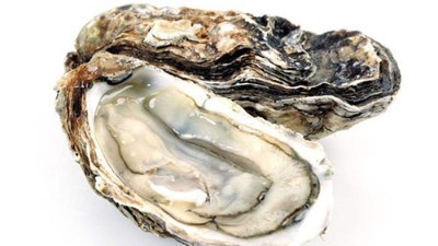 蛋白肽與男性功能有哪些關(guān)聯(lián)？