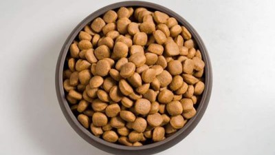 貓糧風(fēng)味劑的生產(chǎn)如何選擇酶制劑？