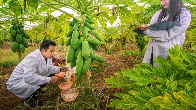 酶制劑公司排名：哪個(gè)廠家在食品、飼料、工業(yè)領(lǐng)域拔得頭籌