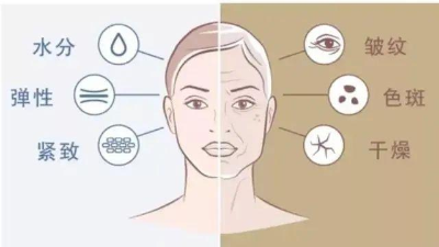 酶解鱈魚皮制備膠原蛋白的影響因素有哪些？