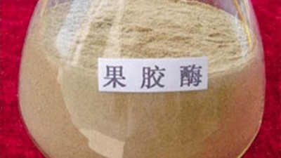 果膠酶的作用原理，正確使用方法與用量