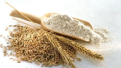 如何利用小麥蛋白酶解制備小麥蛋白多肽？