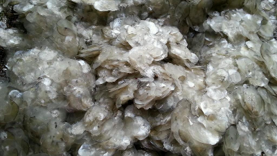 堿性蛋白酶酶解魚鱗制備膠原蛋白多肽，成品有沉淀？