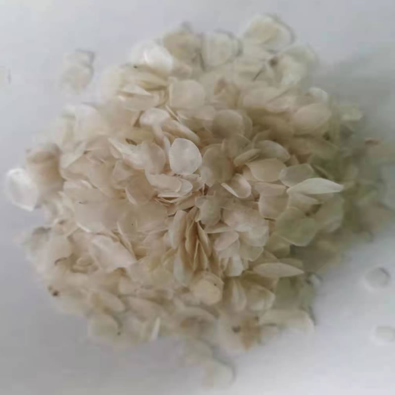 脫脂魚(yú)鱗