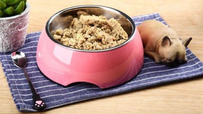 牛肉蛋白質(zhì)酶解制備寵物誘食劑，如何選酶？