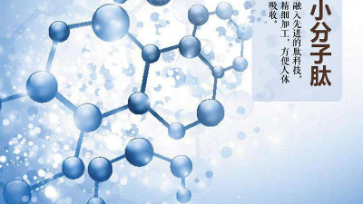 關于蛋白質與蛋白肽的區(qū)別，您有了解多少？