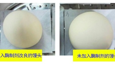 一文詳解面包酶制劑有什么作用？