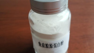 中性蛋白酶在魚(yú)鱗膠原蛋白肽生產(chǎn)中的應(yīng)用