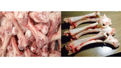 酶法水解生產(chǎn)骨蛋白肽可用酶制劑有哪些？