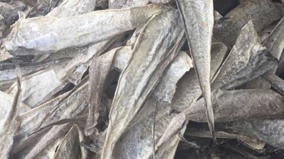 水解魚皮做膠原蛋白肽有苦味，風味酶能去除苦味嗎？