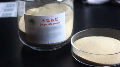生產(chǎn)大豆低聚肽與多肽會用到哪些酶制劑？