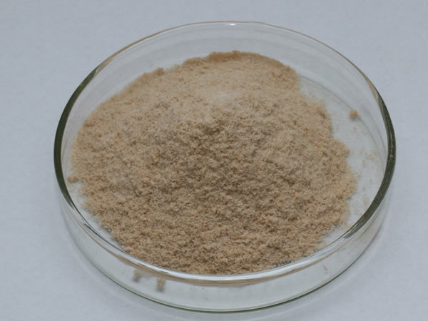 膜清洗酶（膜清洗劑，洗滌酶）