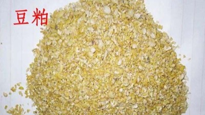 發(fā)酵酶解豆粕粘度大是什么原因？