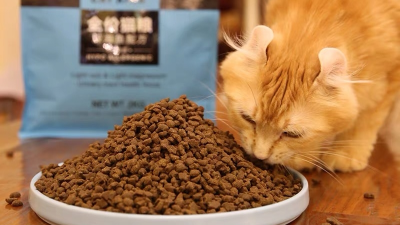如何酶解雞肝粉提高貓糧誘食劑誘食性？
