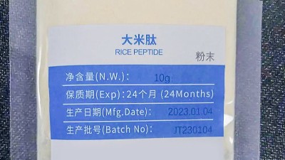 復(fù)配蛋白酶賦能大米蛋白肽——從工藝突破到功能升級(jí)