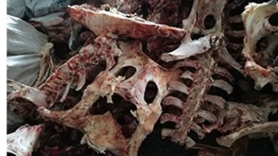 牛骨、豬骨蛋白胨生產(chǎn)，適合的酶制劑有哪些呢？